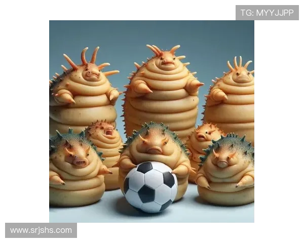 海参助力足球明星逆袭赛场巅峰的秘密饮食揭秘